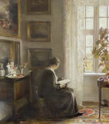 Lesing ved et solfylt vindu