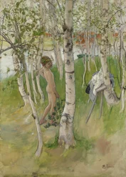 Nakengutt blant bjørker, 1898 (wc på papir)