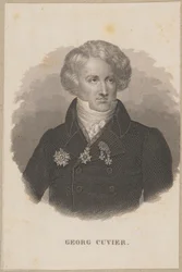 Georges Cuvier (1769 Montbéliard - 1832 Paris) - fransk zoolog, grunnlegger av paleontologien