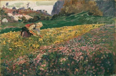 Jente i blomstereng
