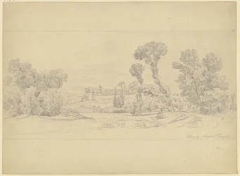 Trestudie fra Villeneuve-området nær Avignon