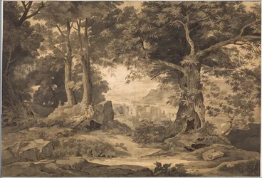 Heidelberg med den vakre avstanden