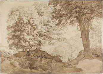 Hvile i eikeskogen