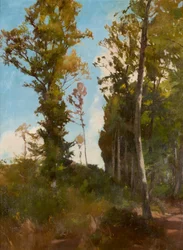 Skogrydding nær Purkersdorf