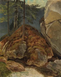 Oljestudie med mosdekket stein