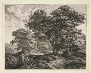 Landskap