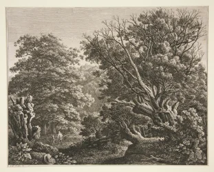 Landskap med knudrete tre