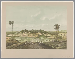Nordkysten nær Semarang