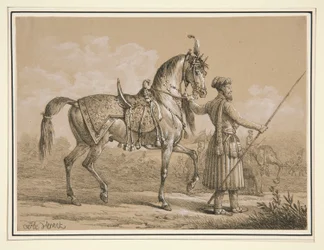 Mameluke og Arabian Horse