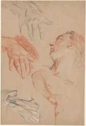 Studieark