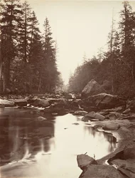 Merced River, Yosemite, ca. 1872, printed ca. 1876.    1142036   no       norwegian Successfully Translated  Original: French Revolution: “What do you do, I am in penitence” King Louis XVI (1754-1793) represents in a cage on the eve of his flight to Varenn
