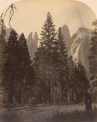 Katedraltårnene, 1861.