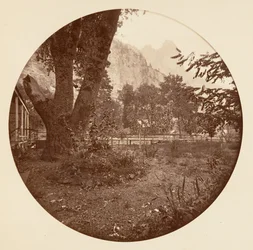 [Yosemite nasjonalpark, California], ca. 1878.
