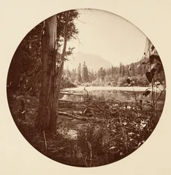 [Yosemite nasjonalpark, California], ca. 1878.