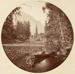 [Yosemite nasjonalpark, California], ca. 1878.