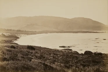 [Kystutsikt, Monterey]