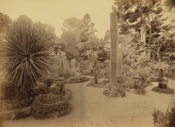 [Monterey, California. Arizona Garden, Hotel Del Monte.]