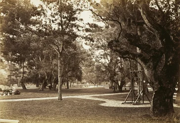 [Park nær Hotel del Monte, Monterey?]