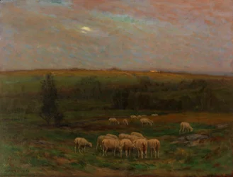 Kveld etter en dusj