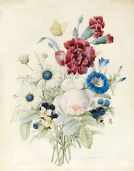 En spray av blomster inkludert en rose, en blå konvolvulus og stemorsblomster, 1830 (wc og kroppsfarge på papir)