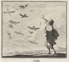 Emblem: fugler