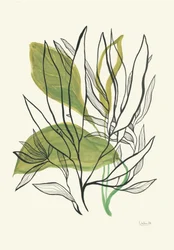 Moderne botaniske blader