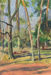 Solbelyst skogssti