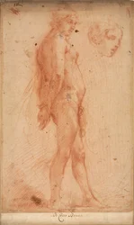 Studie av en stående mannlig naken, med en studie av hode i trekvartsprofil, ca. 1640.