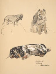 Pekinese, Chow and Spaniel, 1930, illustrasjoner fra skisseboken hans brukt for Just Among Friends, Aldin, Cecil Charles Windsor (1870-1935), senere utgitt av Eyre og Spottiswoode Limited, 1934, Chal