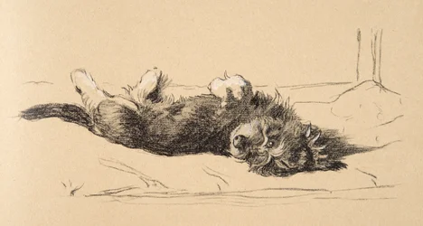 Rough Daschund Puppy Detail, 1930, illustrasjoner fra skisseboken hans brukt for Just Among Friends, Aldin, Cecil Charles Windsor (1870-1935), senere utgitt av Eyre og Spottiswoode Limited, 1934, Cha
