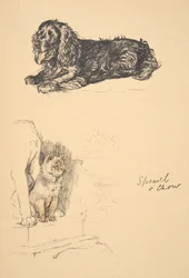 Spaniel and Chow, 1930, illustrasjoner fra skisseboken hans brukt for Just Among Friends, Aldin, Cecil Charles Windsor (1870-1935), senere utgitt av Eyre og Spottiswoode Limited, 1934, Chalk and Char