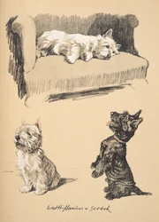 West Highlanders and Scotch, 1930, Illustrasjoner fra Sketch Book brukt for Just Among Friends, senere utgitt av Eyre og Spottiswoode Limited, 1934 (kritt og kull på papir)