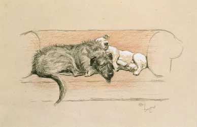 Ulvehund og Bull Terrier sover på en sofa (pastell på papir)