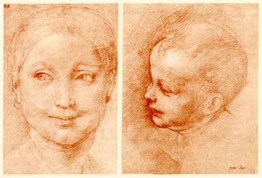 Hodestudier