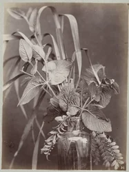 Blomsterstudie med glassflaske