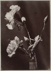 Blomsterstudie med glassvase