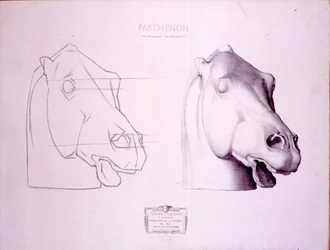 Hestehode fra West Pediment of the Parthenon, plate 47 fra Cours de Dessin, ca. 1898