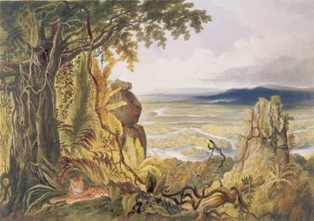 Comuti- eller Taquiare-klippen ved Essequibo-elven, fra «Utsikter i Guyanas indre», gravert av George Barnard (virksom 1832-90), utgitt av Ackermann, 1840
