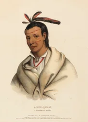 A-MIS-QUAM, EN WINNEBAGO-MODIG., fra Historien om indianerstammene i Nord-Amerika