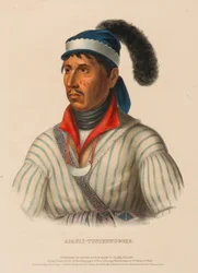 APAULY-TUSTENNUGGEE., fra Historien om indianerstammene i Nord-Amerika