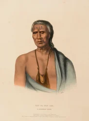 LAP-PA-WIN-SOE. EN HØVING FRA DELAWARE., fra Historien om indianerstammene i Nord-Amerika.
