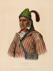 ME-NA-WA. EN BEKKEKRIGER, fra Historien om indianerstammene i Nord-Amerika