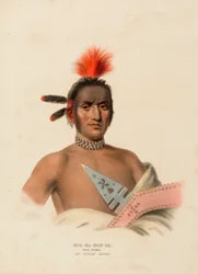 MOA-NA-HON-GA. FLOTT GÅR. AN IOWAY CHIEF., fra History of the Indian Tribes of North America