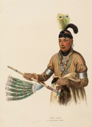 NAW-KAW. EN HØVDING FRA WINNEBAGO., fra Historien om indianerstammene i Nord-Amerika.