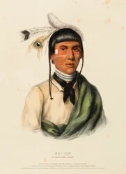 NO-TIN. EN CHIPPEWA-HØVDING., fra Historien om indianerstammene i Nord-Amerika