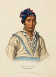 VÅRFROSK. EN CHEROKEE-HØVDING, fra Historien om indianerstammene i Nord-Amerika