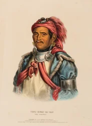 TENS-KWAU-TA-WAW. PROFETEN., fra History of the Indian Tribes of North America