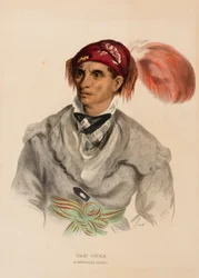 Tah-Chee (nederlandsk), en cherokee-høvding, fra historien om indianerstammene i Nord-Amerika