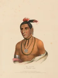WA-KAWN, EN HØVDING FRA WINNEBAGO, fra Historien om indianerstammene i Nord-Amerika