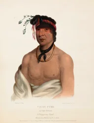WESH-CUBB. EN CHIPPEWAY-HØVDING. Fra historien om indianerstammene i Nord-Amerika.